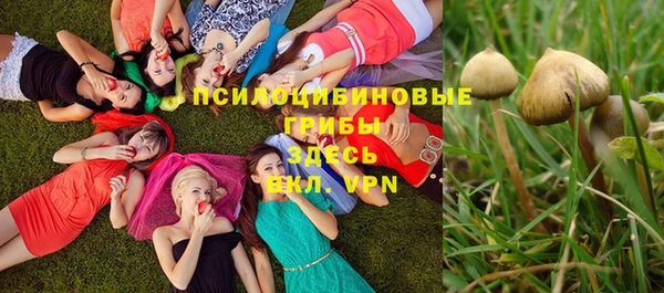 кокс Алзамай