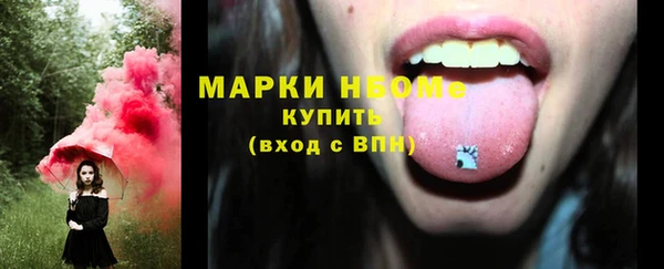молекула духа Алексеевка
